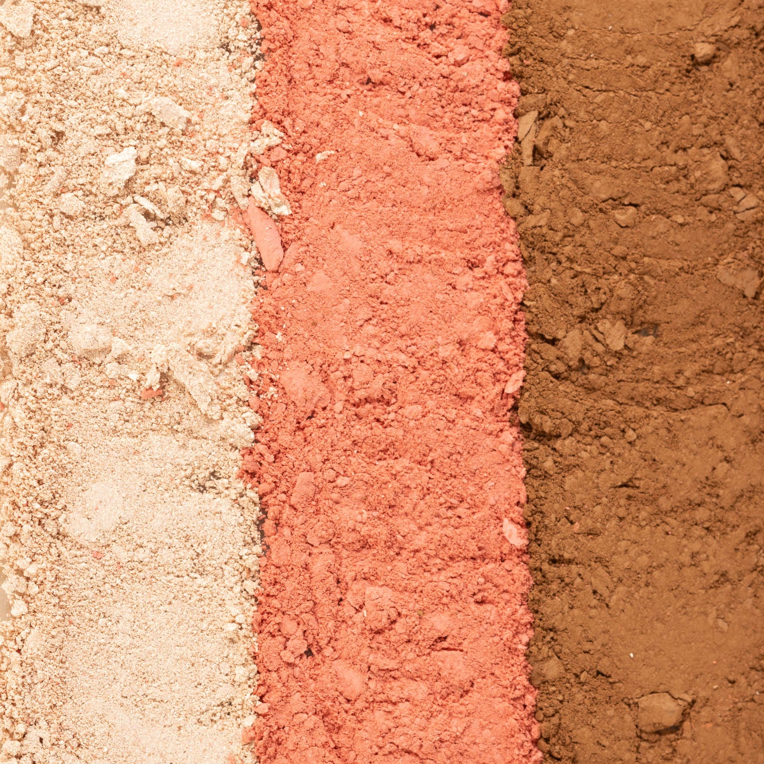 PAC Cosmetics Focus On Me Blush & Highlight X3 (14.5 gm)