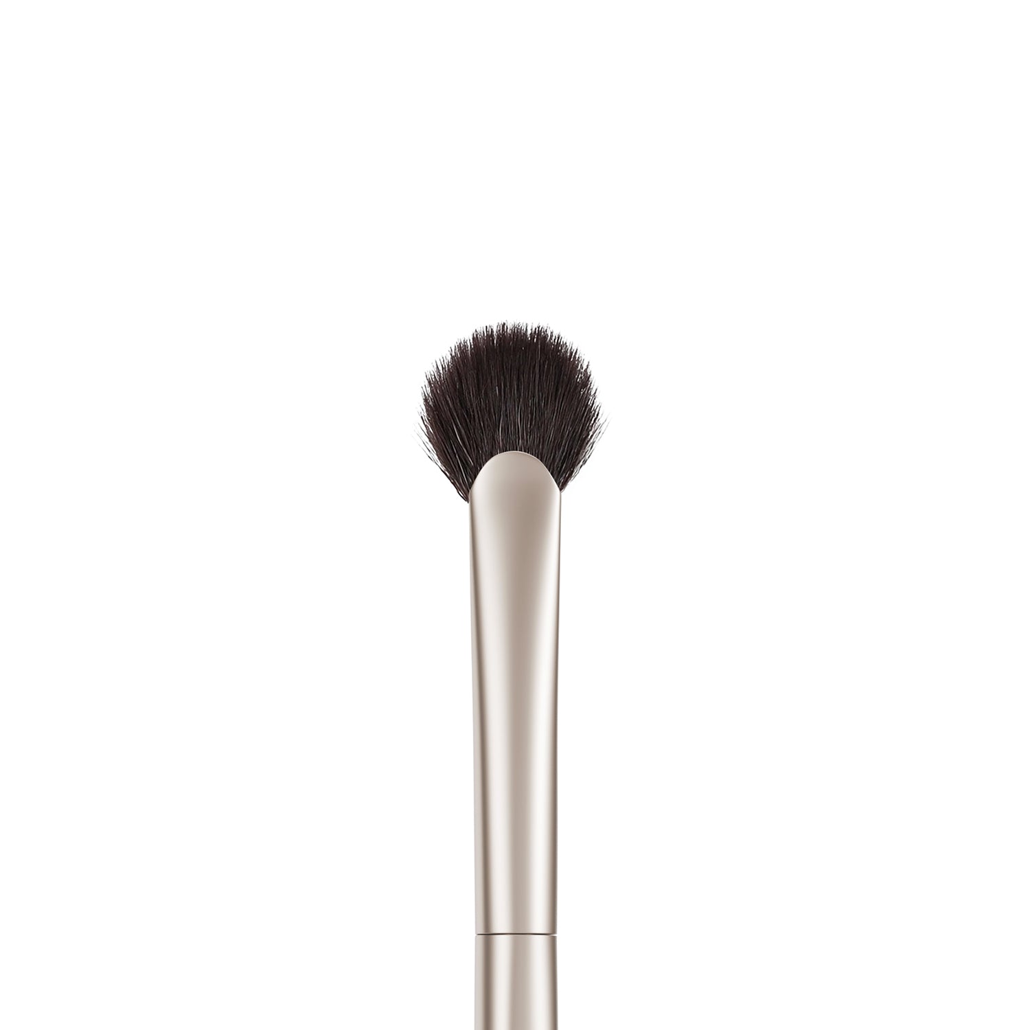 S16 Highlighter Fan Brush