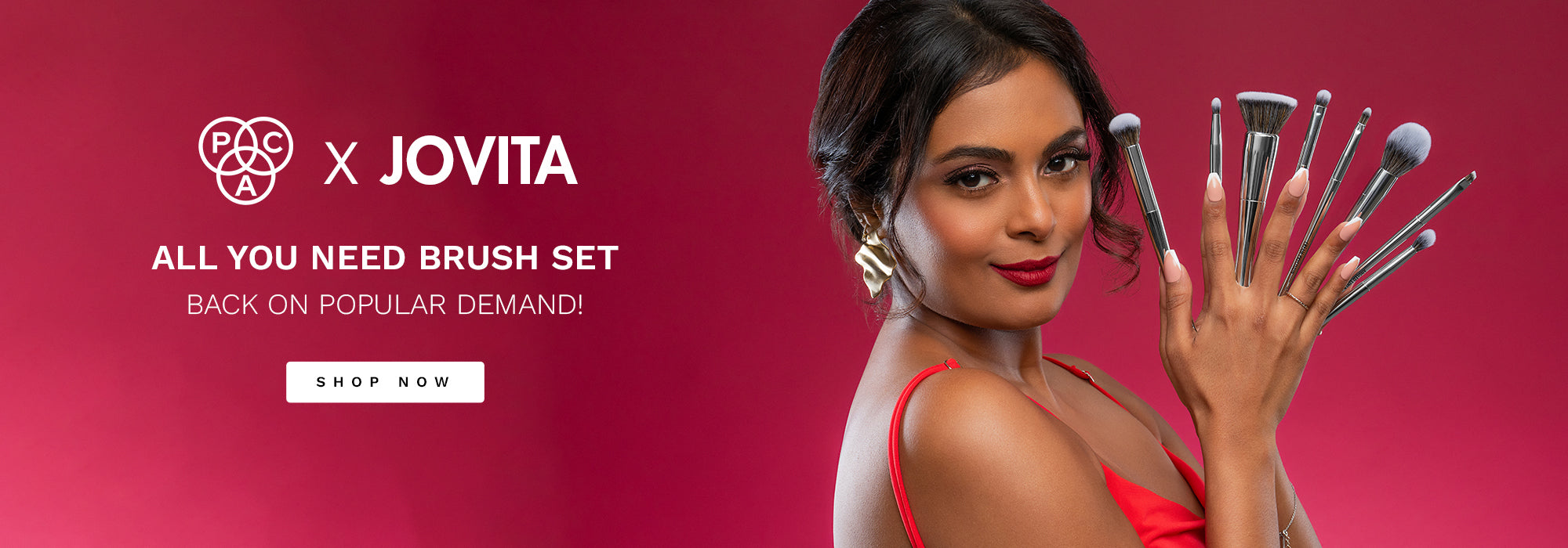 PAC Makeup Brush Sets