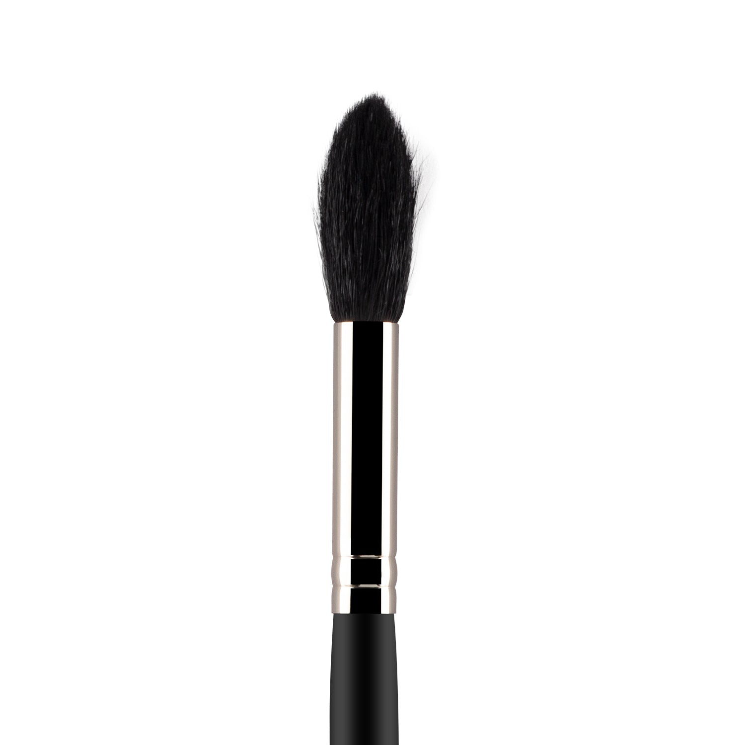 Powder Brush 094